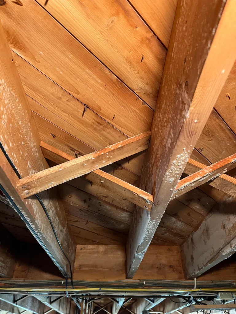 Vibration des planchers et portée des solives